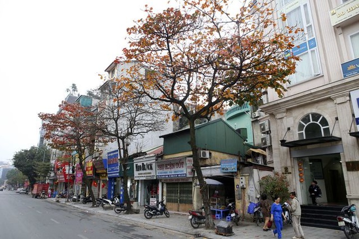 Hanoi’s spring moments - 4