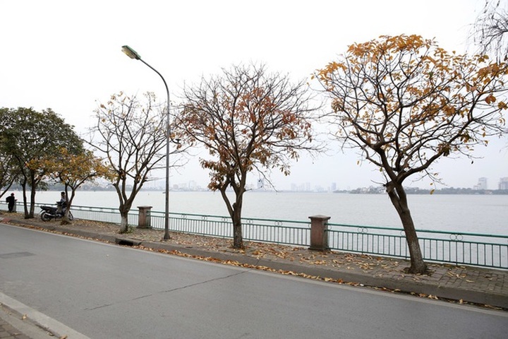 Vietnam to compete in six categories in World Travel Awards 2019 - 1