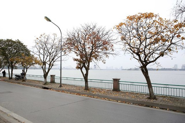 Hanoi’s spring moments - 5