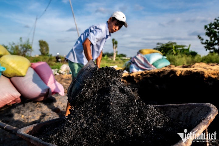 Flower village in HCM City ahead of Tet - 4
