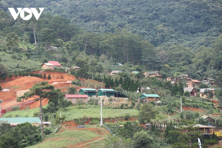 Dozens of houses built illegally on forestry land - 1
