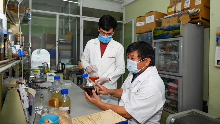 Made-in-Vietnam Vipdervir drug proves effective against SARS-CoV-2: Scientists - 1