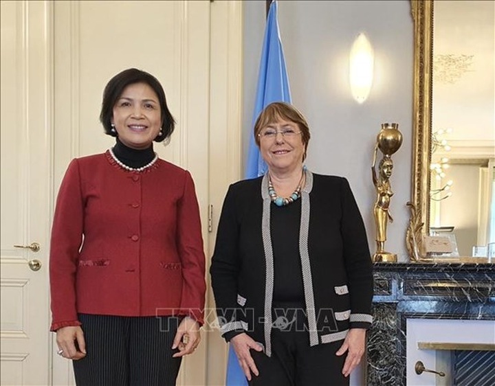UN High Commissioner lauds Vietnam’s human rights achievements - 1