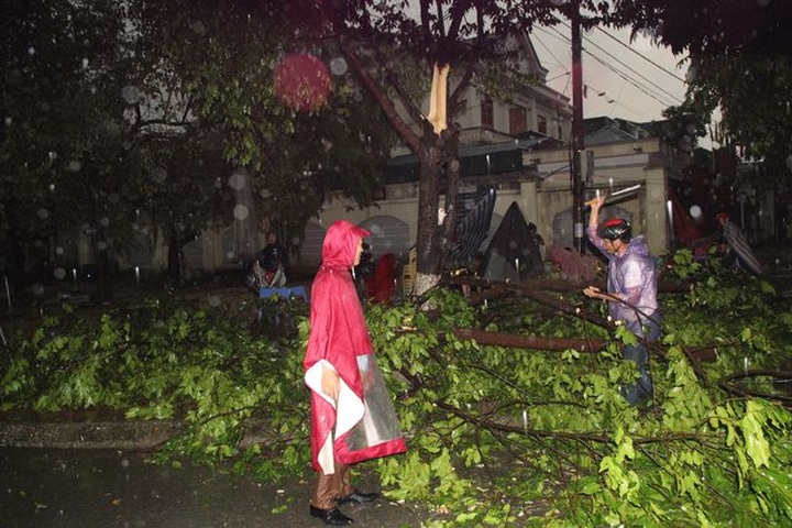 Torrential rain damages many houses, uproot trees in central region - 6