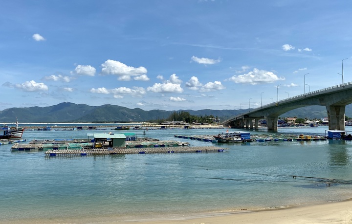 Illegal aquaculture cages block fishing boats in Binh Dinh - 2