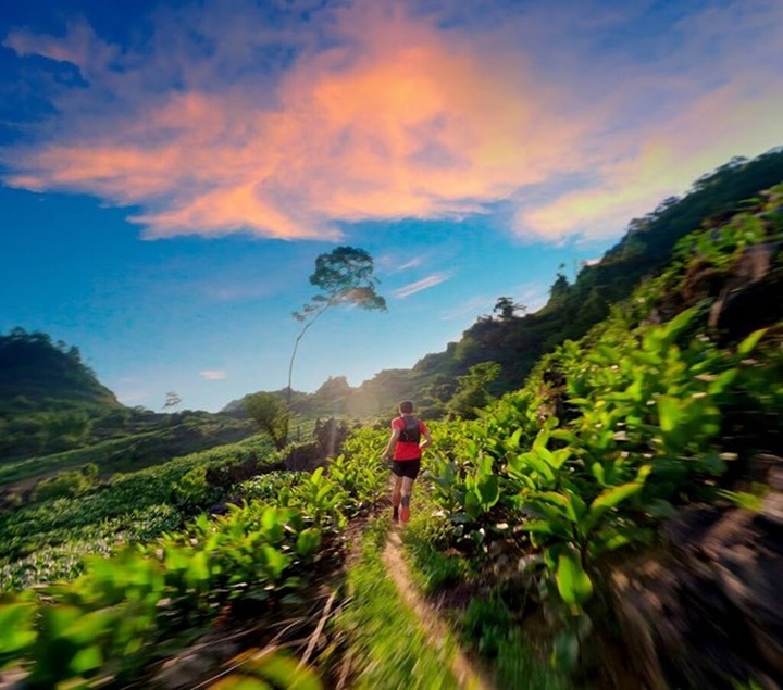 More than 2,200 runners to join Vietnam Ultra Marathon - 1 More than 2,200 runners to join Vietnam Ultra Marathon - 1