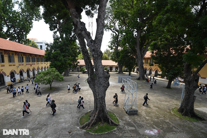 Century-old HCM City school recongised as cultural heritage - 9 Century-old HCM City school recongised as cultural heritage - 9