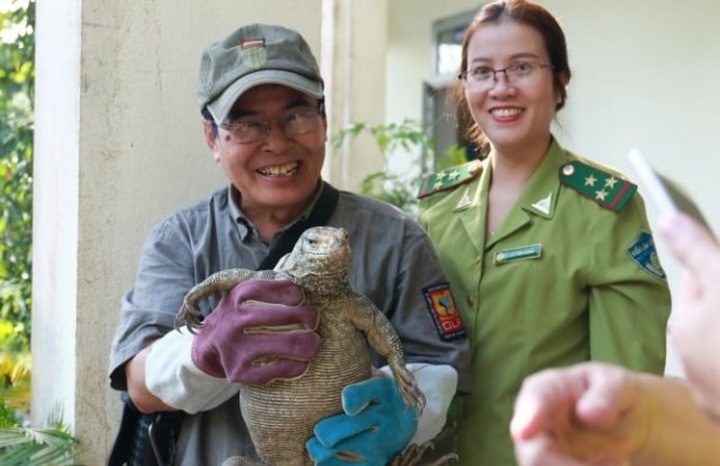 Wildlife violations reduced in Hue, Quang Nam and Danang - 1