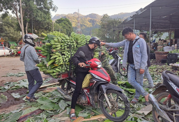 Lai Chau banana market bustles again after China border gate reopens - 2