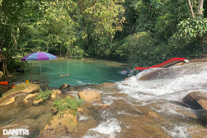 Tourist site illegally built in Quang Binh forest - 1 Tourist site illegally built in Quang Binh forest - 1