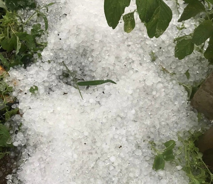 Da Lat hard hit by hail - 1 Da Lat hard hit by hail - 1