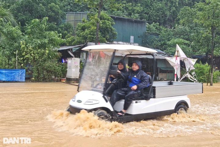 Trees uprooted as Storm Prapiroon sweeps through Quang Ninh - 6