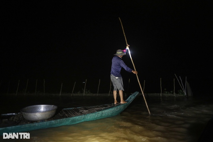 Fish hunting season in Mekong Delta region’s flood season - 3 Fish hunting season in Mekong Delta region’s flood season - 3