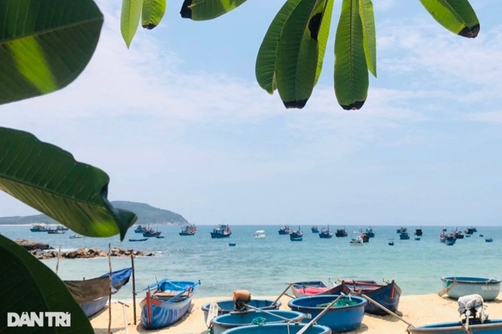 Pristine beauty of Phu Yen fishing village - 7