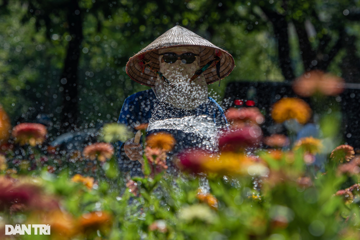 Hanoians struggling with blazing heat - 12 Hanoians struggling with blazing heat - 12