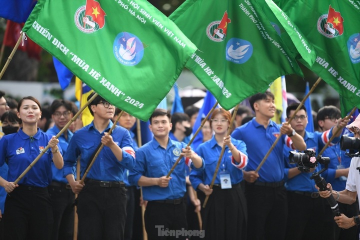 Nearly 2,000 young volunteers join green summer campaign 2024 - 1 Nearly 2,000 young volunteers join green summer campaign 2024 - 1