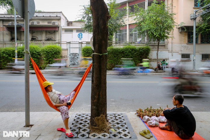 Man earns living collecting tamarind fruit in HCM City - 6