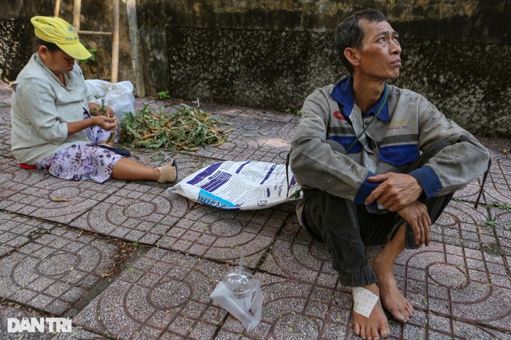 Man earns living collecting tamarind fruit in HCM City - 5