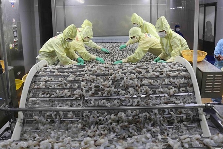 Nine-month agro-forestry-aquatic product exports hit 30.05 bln USD - 1