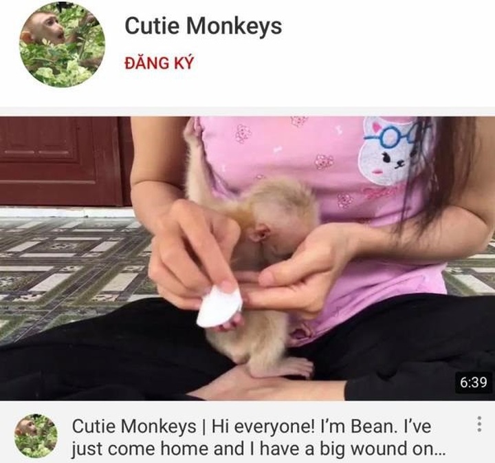 Dak Lak woman found illegally keeping five monkeys - 1