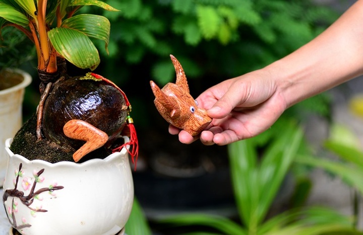 Buffalo-shaped bonsai trees bring good money on Tet - 7