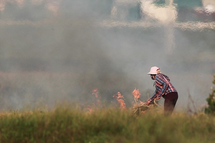Straw burning worsens Hanoi air pollution - 7 Straw burning worsens Hanoi air pollution - 7