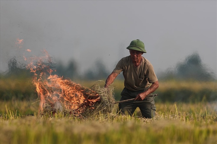 Straw burning worsens Hanoi air pollution - 3 Straw burning worsens Hanoi air pollution - 3