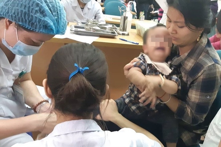 Bac Ninh nursery accused of feeding sick pigs to children - 1