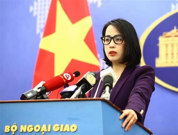 Vietnam has sufficient grounds to assert sovereignty over Hoang Sa - 1