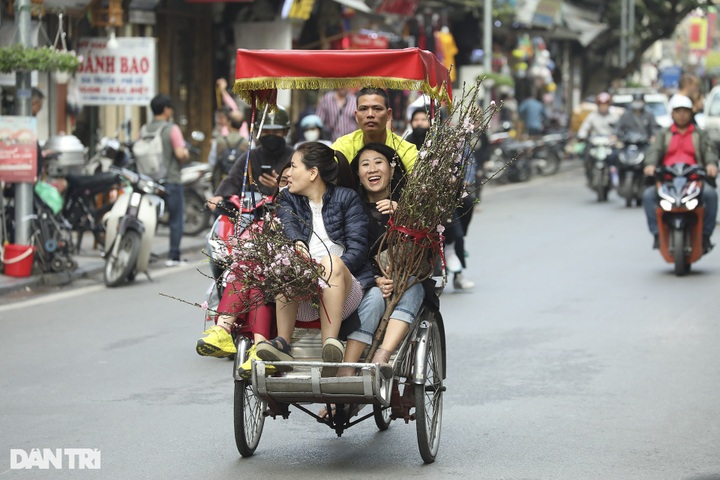 Early peach blossoms hit Hanoi streets - 2