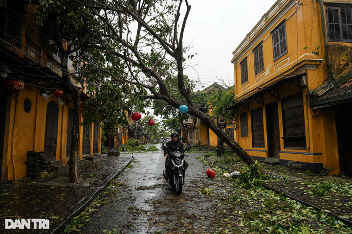 Tourists shocked at devastated Hoi An following storm - 9