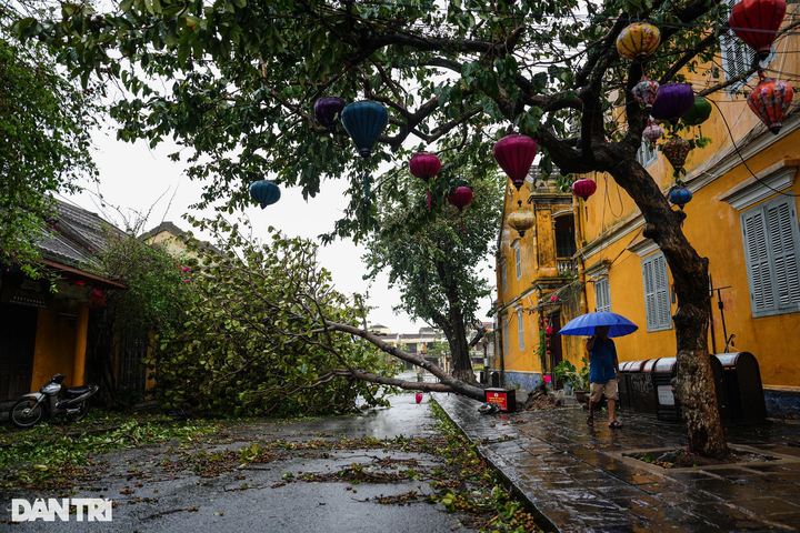 Tourists shocked at devastated Hoi An following storm - 7