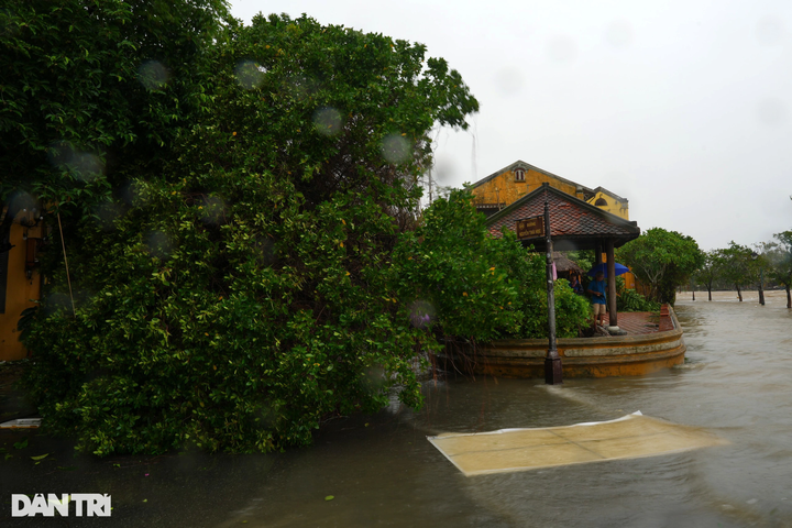 Tourists shocked at devastated Hoi An following storm - 4