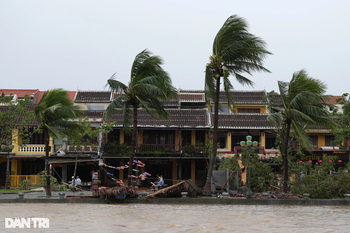 Tourists shocked at devastated Hoi An following storm - 11