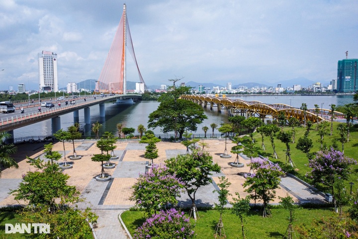 Work on Danang pedestrian street hastened - 7