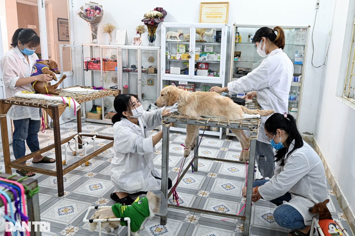 Retired lecturer runs charity clinics for pets - 3 Retired lecturer runs charity clinics for pets - 3