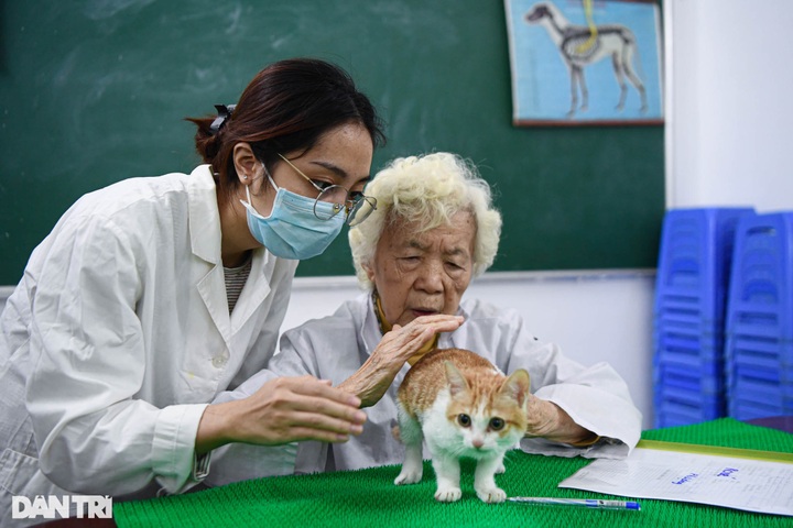 Retired lecturer runs charity clinics for pets - 2 Retired lecturer runs charity clinics for pets - 2
