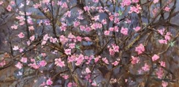 What's on January 13-19 (Daily updated) - 1