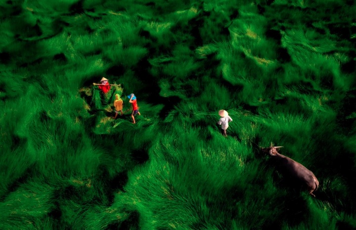Photos of Vietnamese landscapes honoured at 35AWARDS Photography Award - 1 Photos of Vietnamese landscapes honoured at 35AWARDS Photography Award - 1