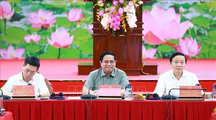 PM leads discussion on high-quality, low-emission rice cultivation in Mekong Delta - 1