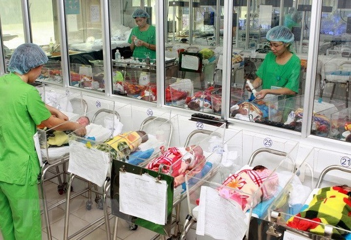 Vietnam’s population quality improved: report - 1
