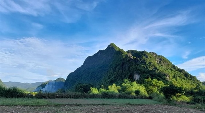 Protected zone established for endangered primates in Quang Binh - 1 Protected zone established for endangered primates in Quang Binh - 1