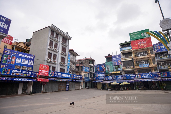 Thousands of boats at Huong Pagoda left idle amid pandemic - 8