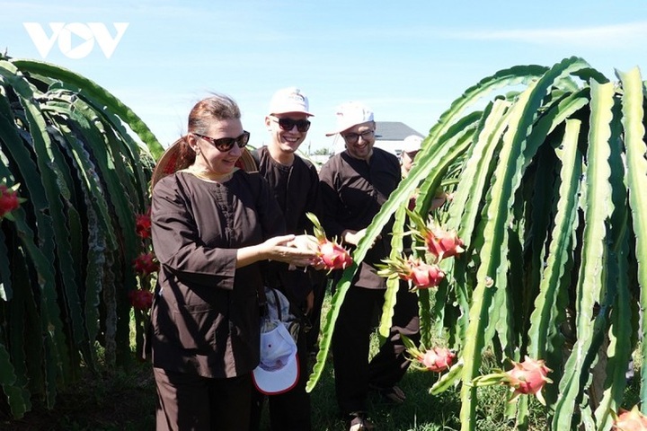 Binh Thuan unlocks agricultural tourism potential - 1