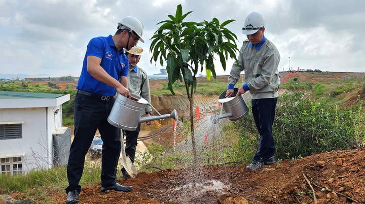Vietnam raises nearly VND9.50 trillion for forestry project - 1