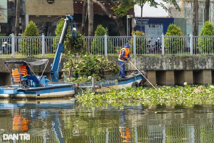 Environment workers protect HCM City canal - 1