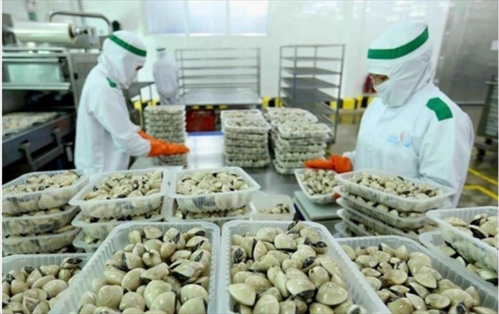 EU represents largest export market for Vietnamese clams - 1