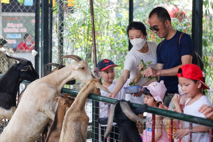 Hanoi, HCM City parks crowded on International Children’s Day - 5
