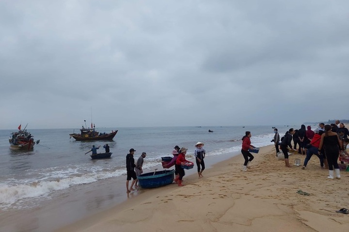 Quang Binh fishermen enjoy big post-Tet catches - 1