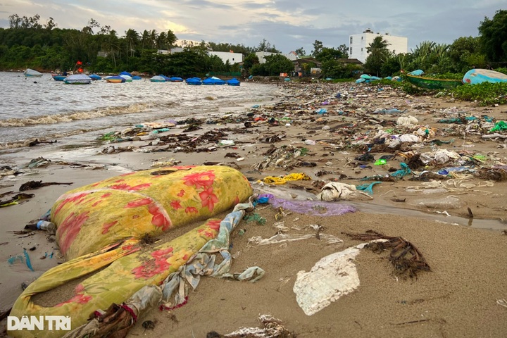 Quang Ngai beach blanketed by rubbish - 2 Quang Ngai beach blanketed by rubbish - 2